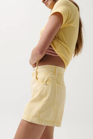SAIGE HIGH RISE A-LINE SHORT